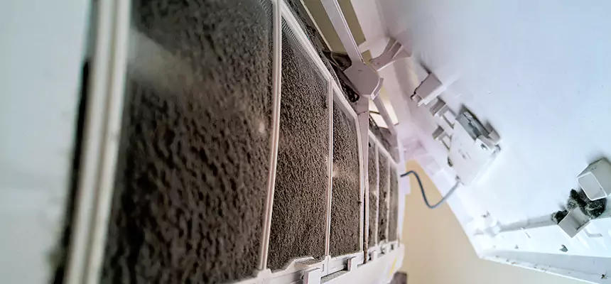 Preventive Air Duct Bacteria Removal in Broomfield