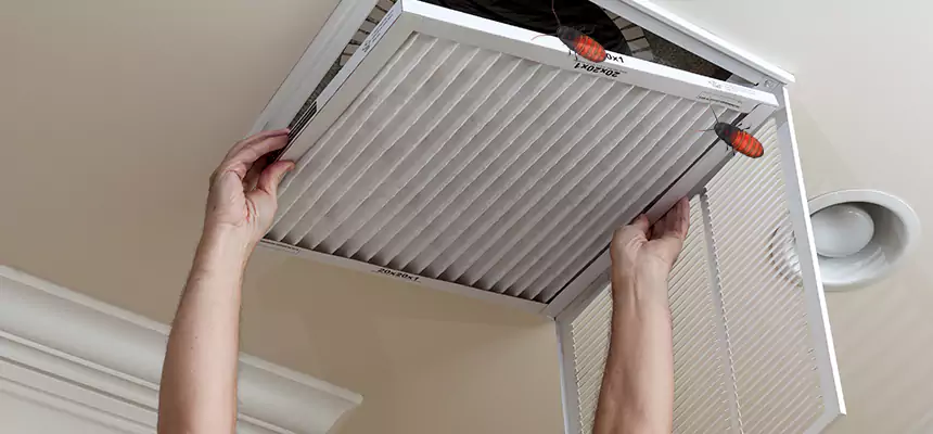 Our Insect Removal from Air Ducts Services in Broomfield, CO