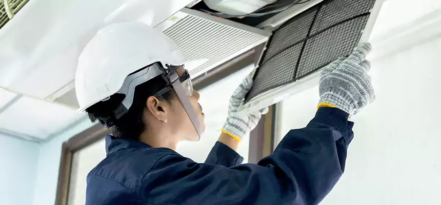 Our Mold & Mildew Removal from Air Ducts Services in Broomfield, CO