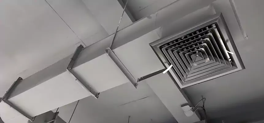 Our Pest Removal From Ducts Services in Broomfield, CO