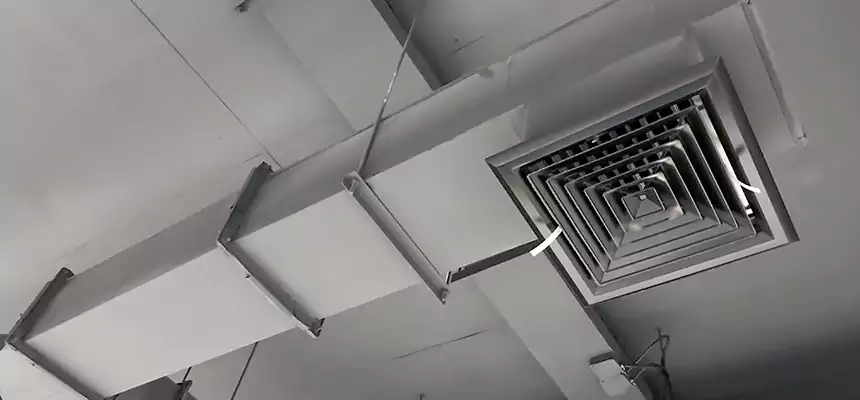 Our Rodent Droppings In Vents Services in Broomfield, CO