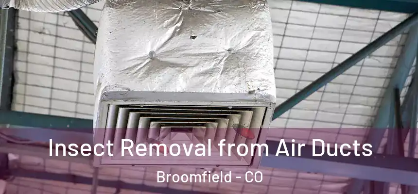 Insect Removal from Air Ducts Broomfield - CO