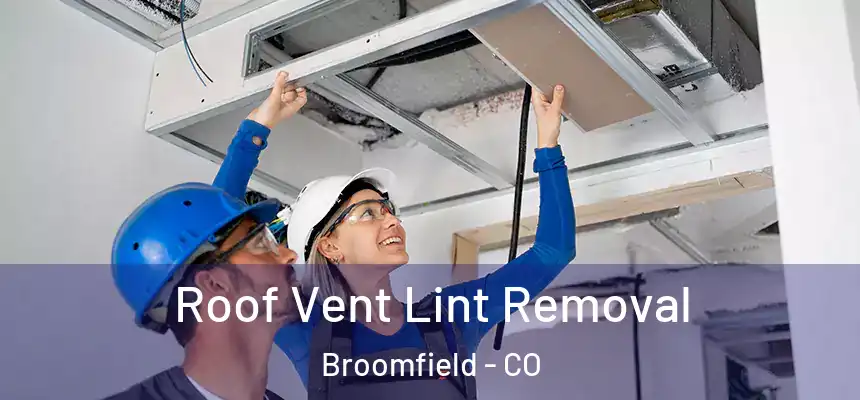 Roof Vent Lint Removal Broomfield - CO