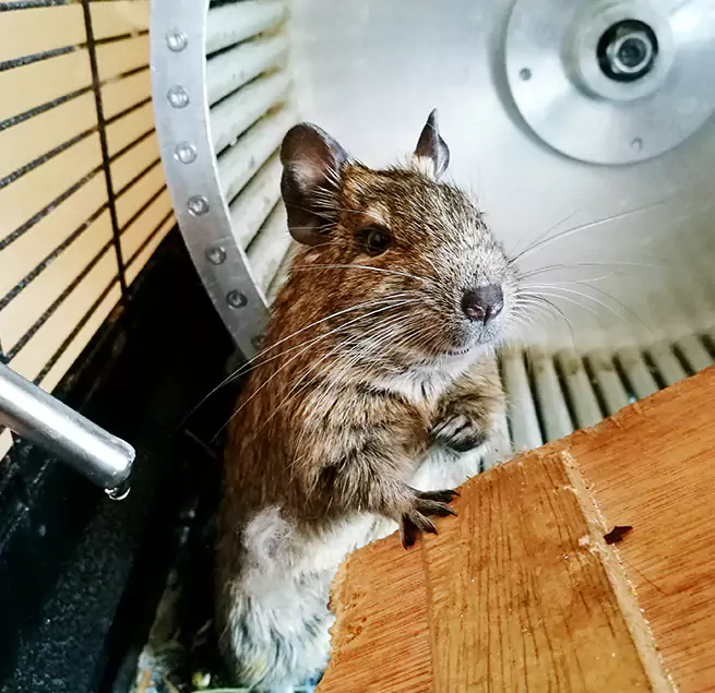 Why Homeowners & Businesses Trust Us Broomfield, CO