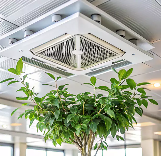 Why Homeowners & Businesses Trust Us in Broomfield, CO