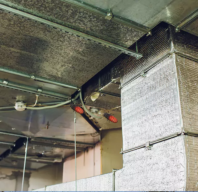 Why Homeowners & Businesses Trust Us Broomfield, CO?